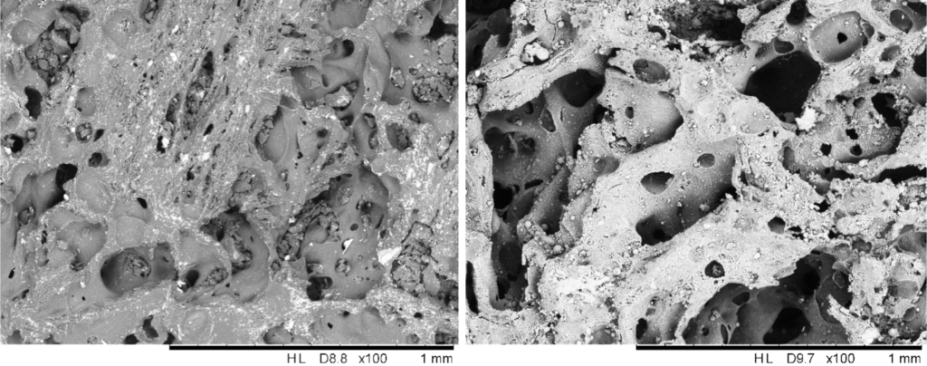 SEM images of coke